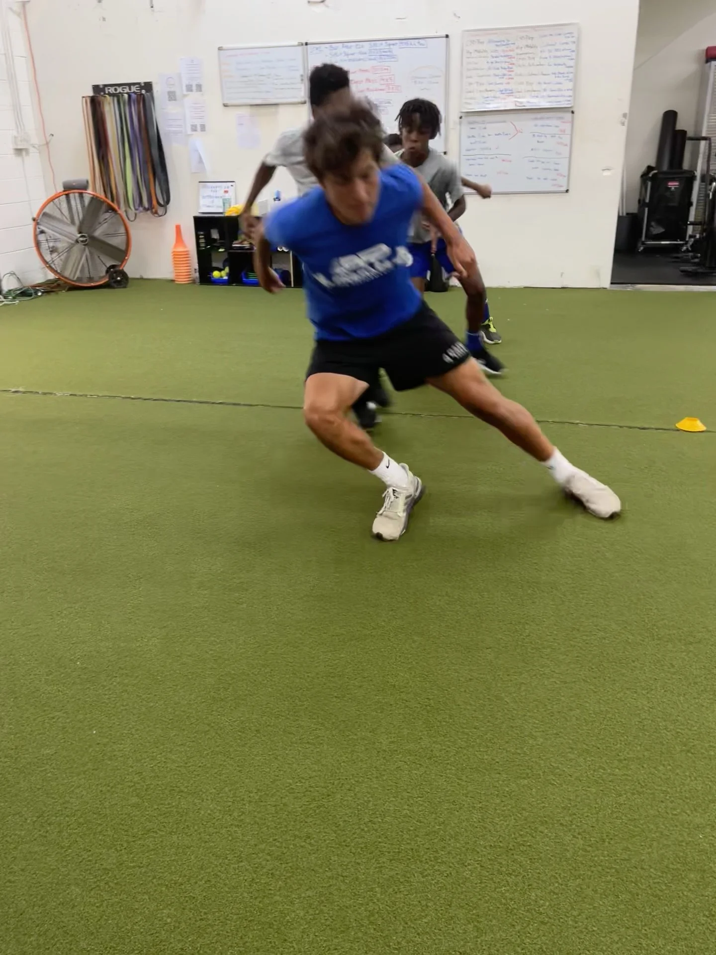 athlete performance training, sports performance, strength training, speed training